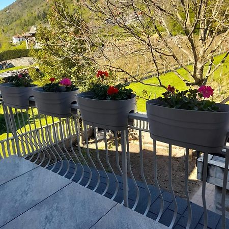 La Casetta Di Campagna Mazzo di Valtellina Εξωτερικό φωτογραφία